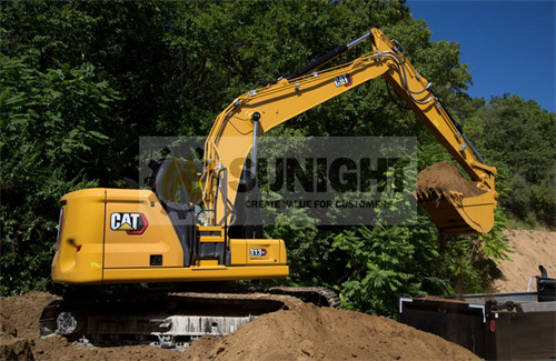 CAT Small Excavator 313 GC